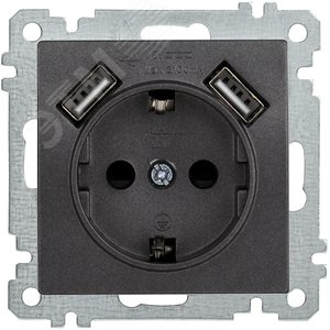 РЮш10-1-Б Роз. с з/к с з/ш 16А USBх2 2,1А BOLERO антр. IEK РЮш10-1-Б Роз. с з/к с з/ш 16А USBх2 2,1А BOLERO антр. IEK